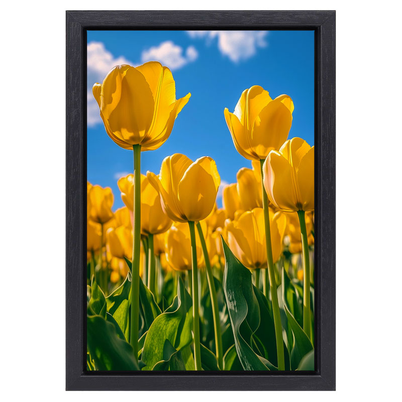 Schilderij Gele Tulpen in zwarte baklijst
