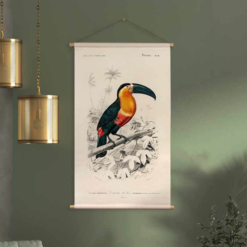 Wanddoek Toekan Charles D' Orbigny 65x45cm 